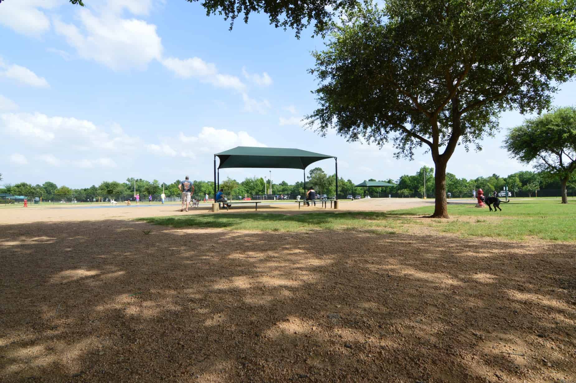 Congressman Bill Archer Dog Park Pavilion by Pool in Houston TX