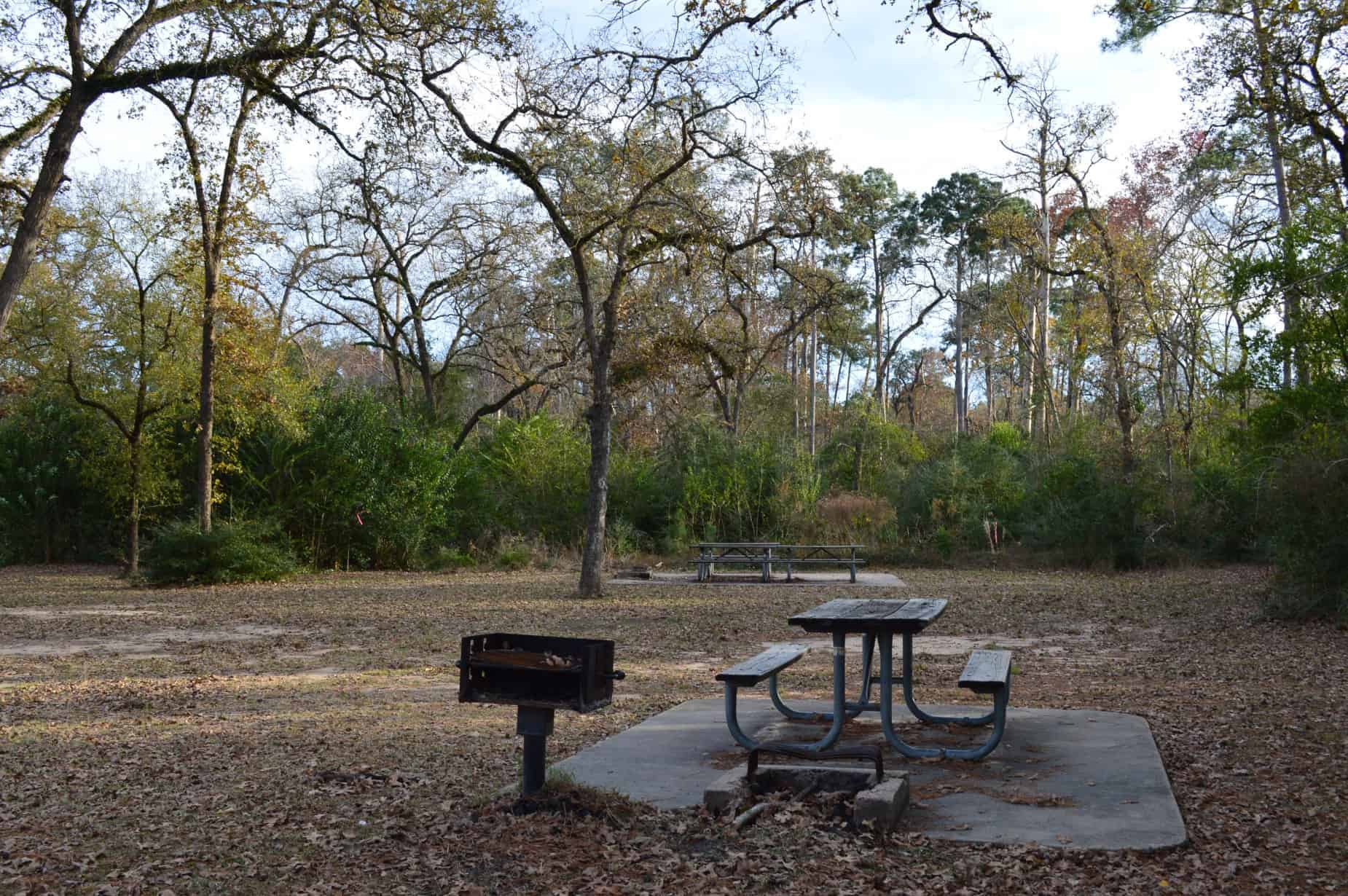 Memorial Park Houston TX Picnic Benches & Grill