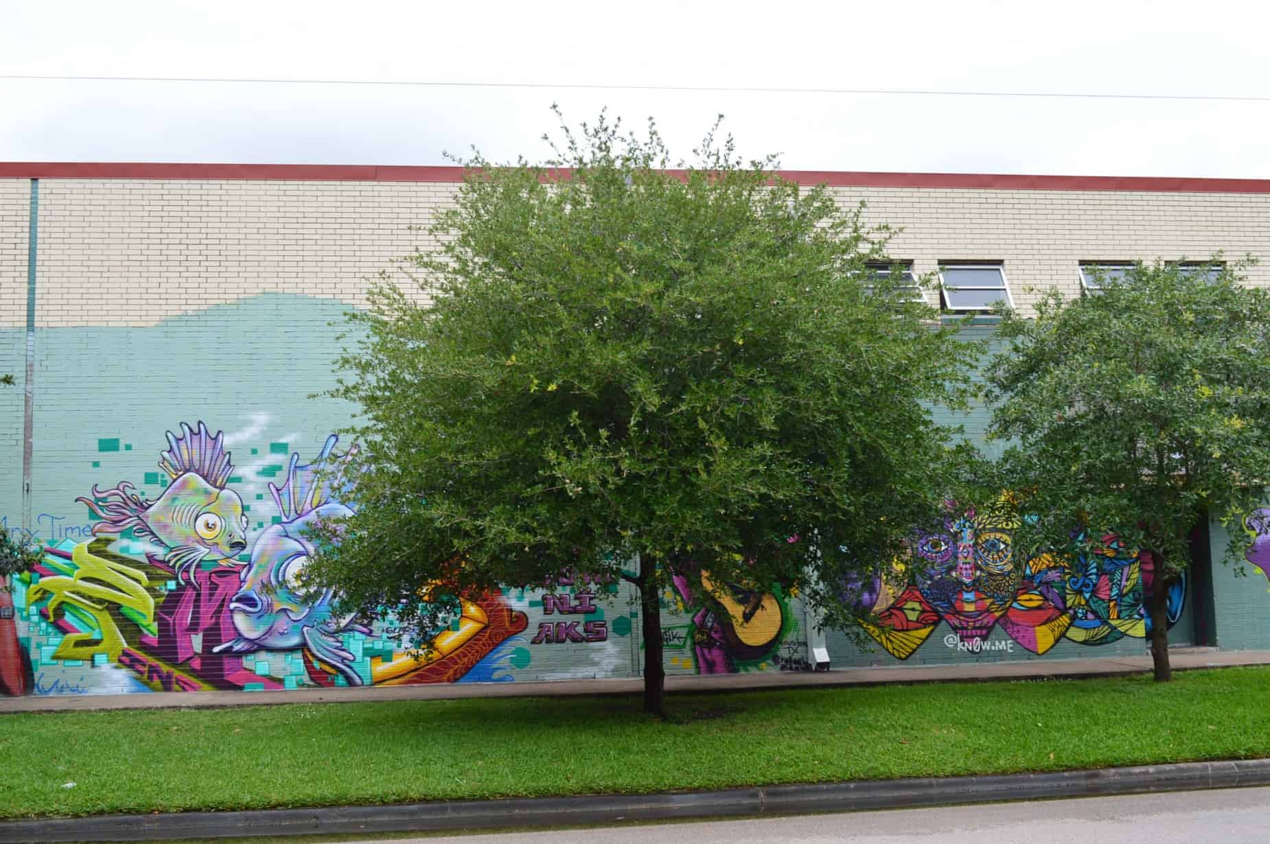 Baldwin Park Artistic Graffiti in Houston TX