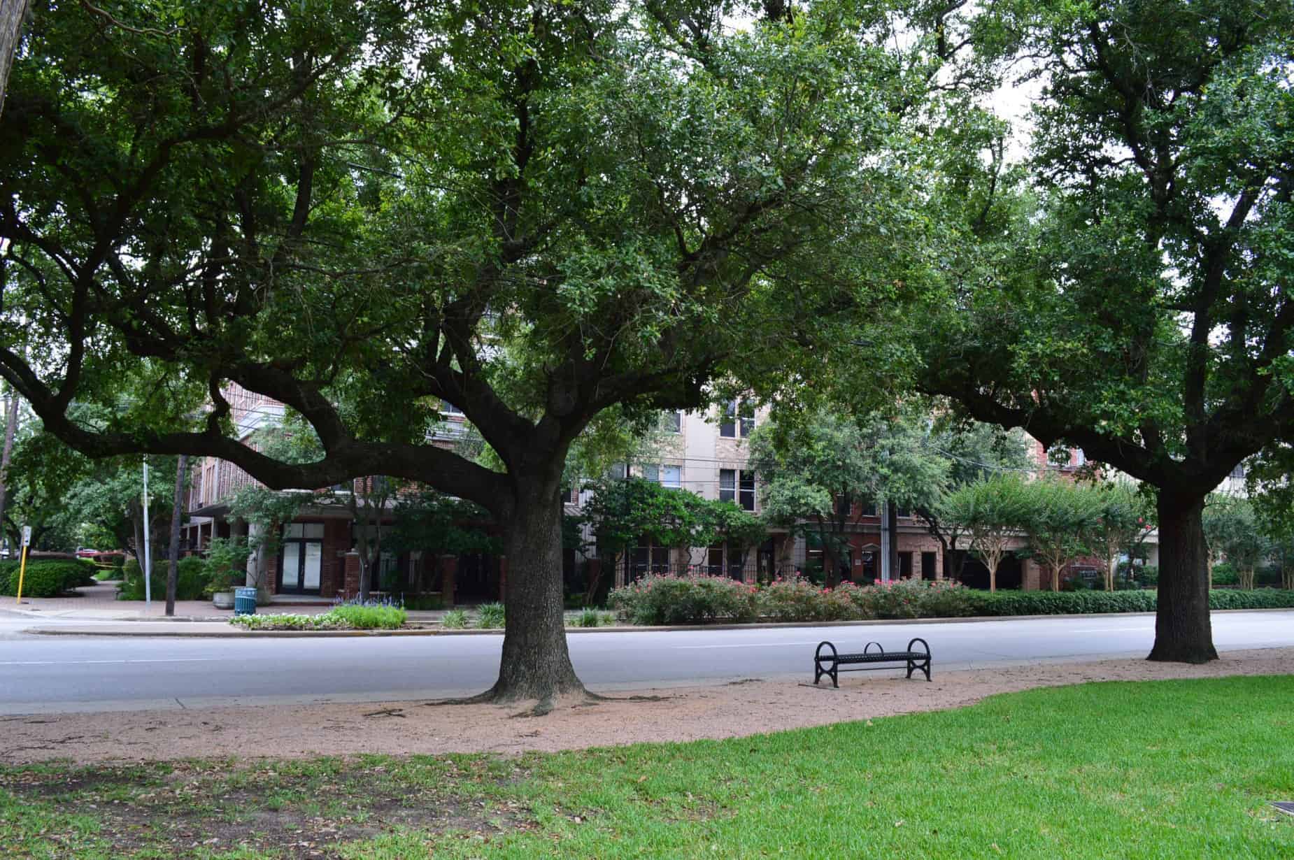 Baldwin Park Neighboring Lofts in Houston TX