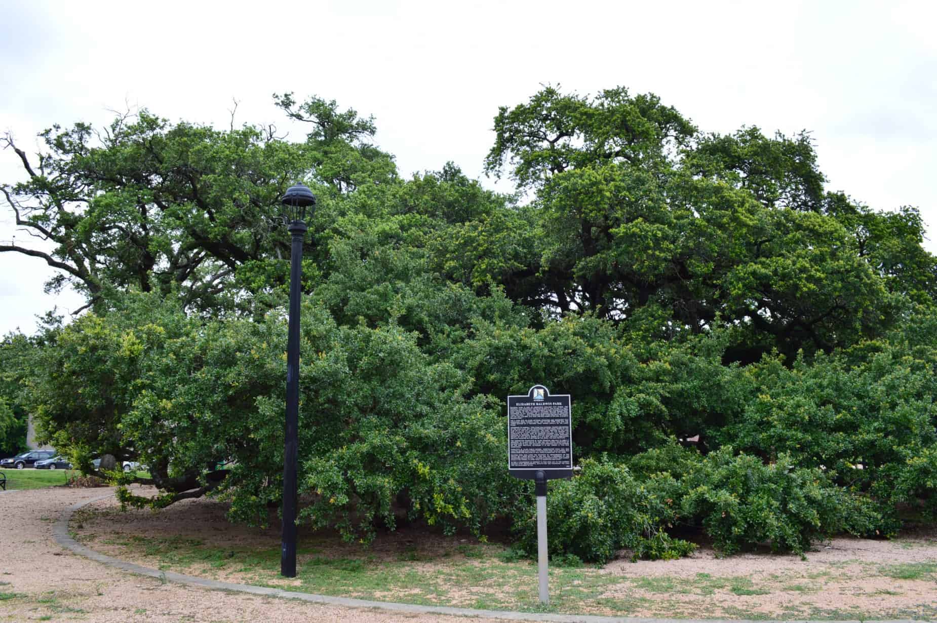 Baldwin Park Plaque in Houston TX