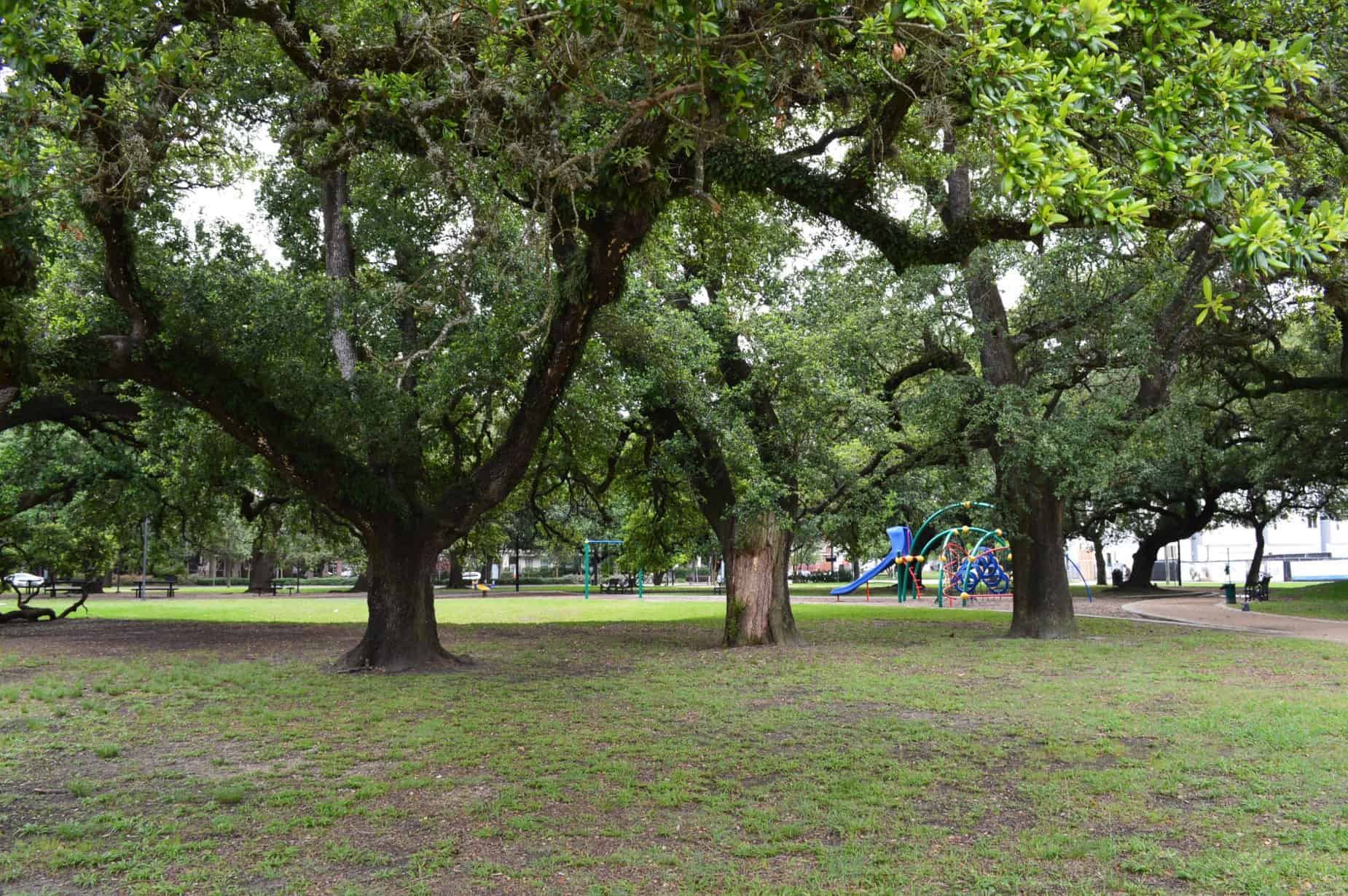 Baldwin Park Trees and Open Space in Houston TX
