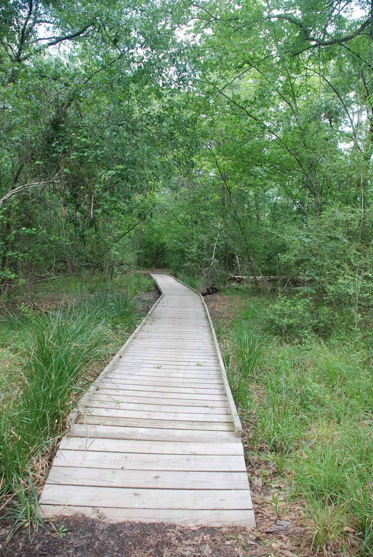 Boardwalk along dirt path in 100 Acre Wood Preserve Houston TX