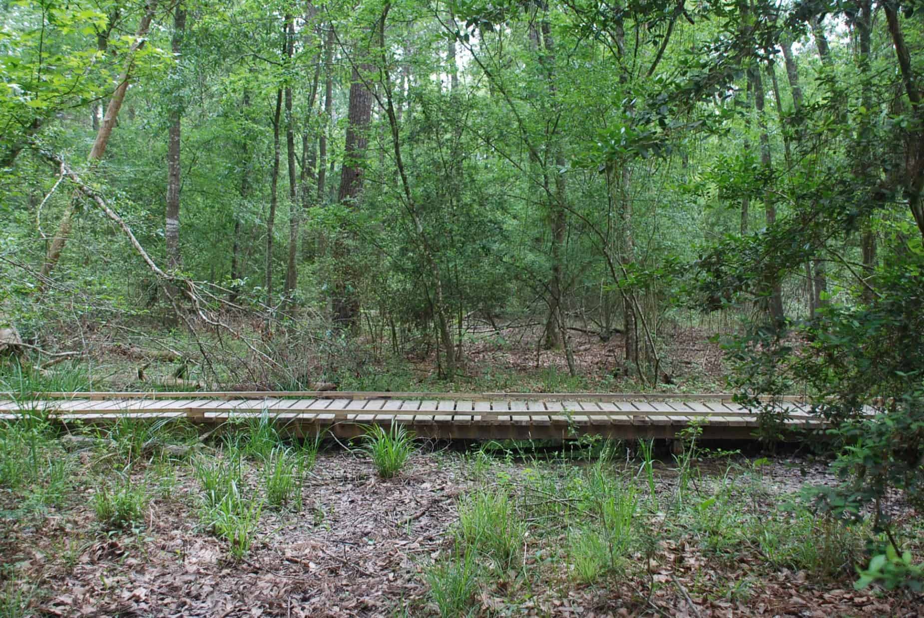 Boardwalk along dirt path in 100 Acre Wood Preserve Houston TX