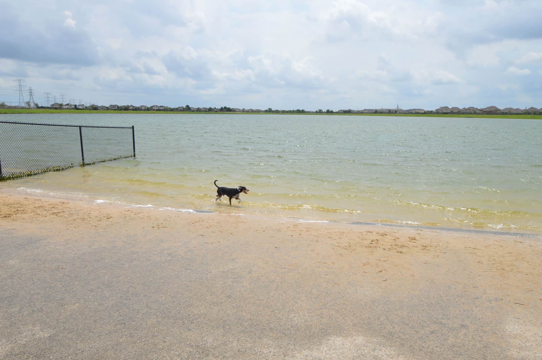 Goforth Park Houston TX Canine Swimming Access to Lake
