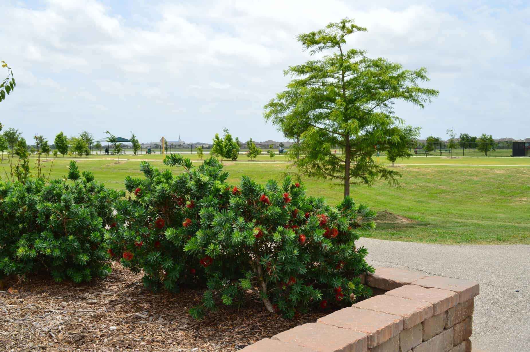 Goforth Park Houston TX landscaping