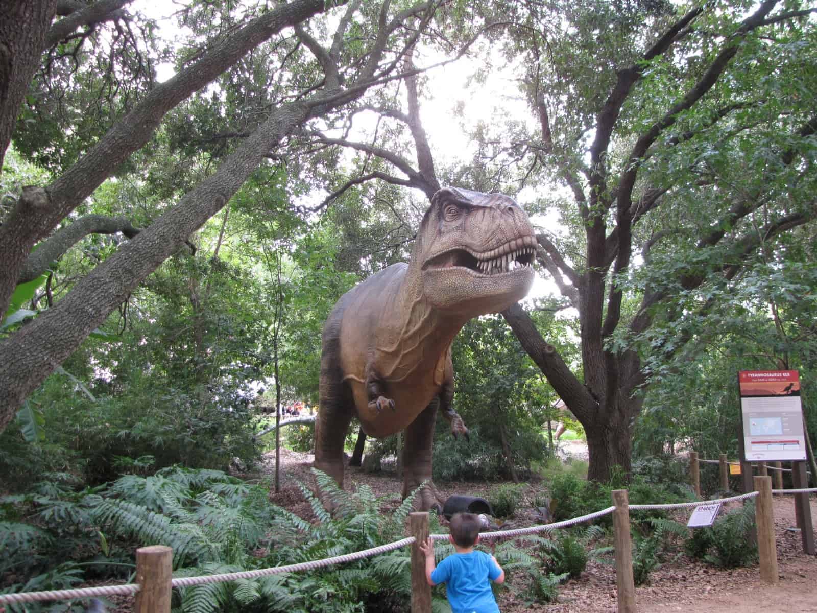 Dinosaurs at Houston Zoo in Houston TX