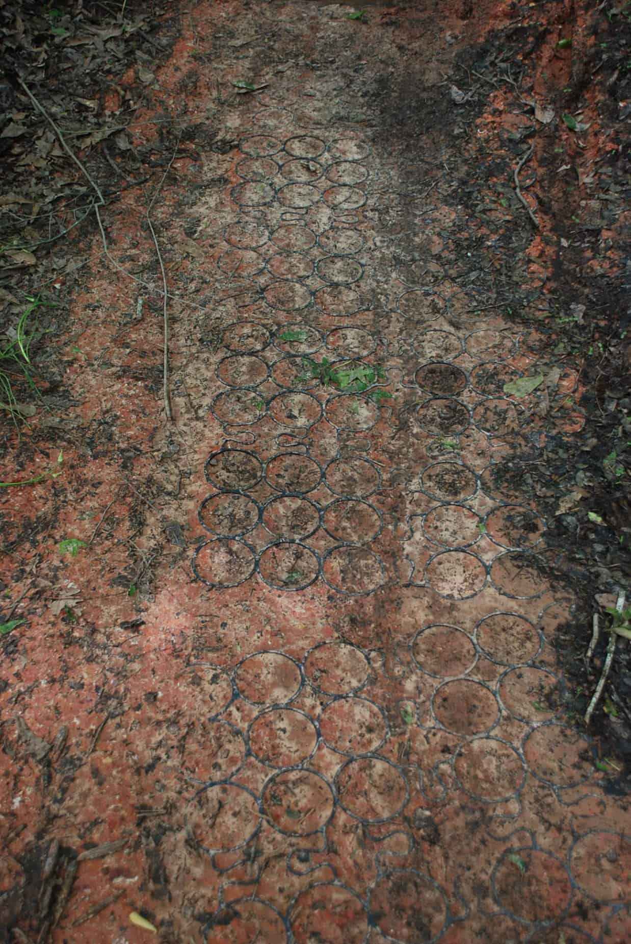 Dirt Trail Improvements in 100 Acre Wood Preserve Houston TX