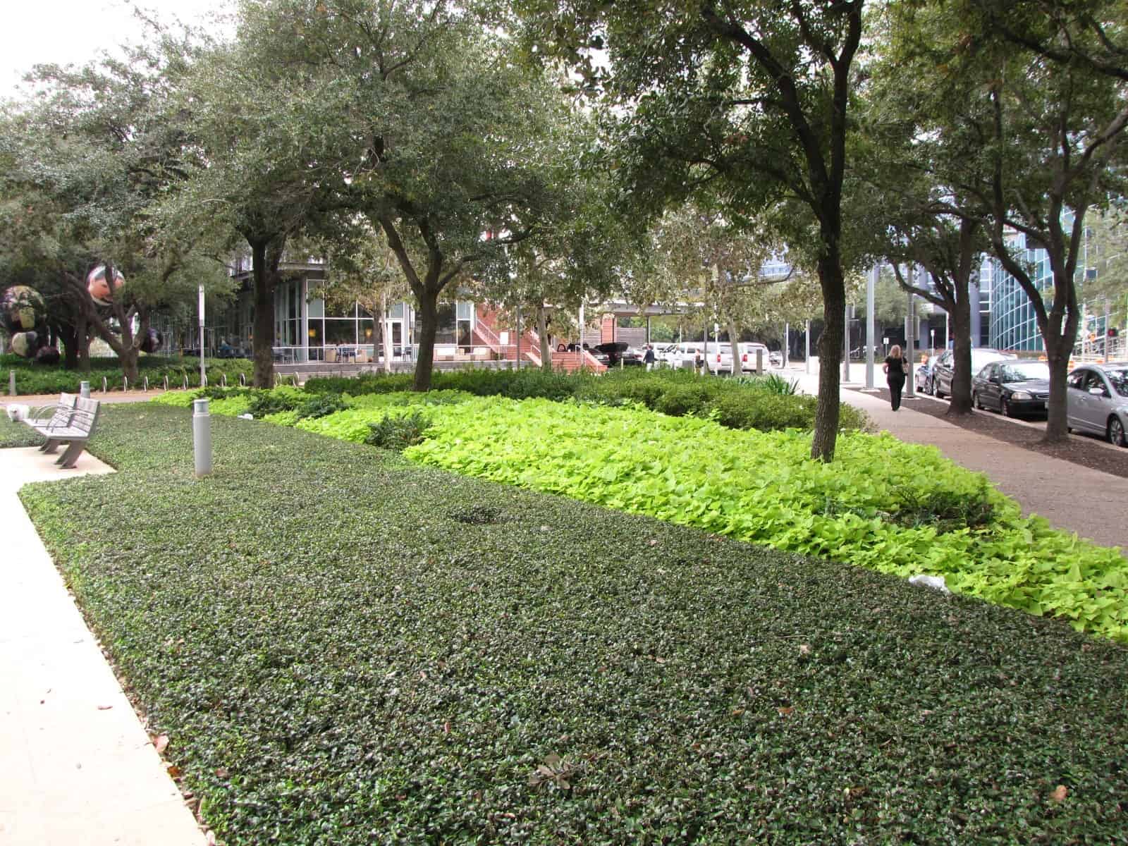 Discovery Green Houston TX Park Greenery