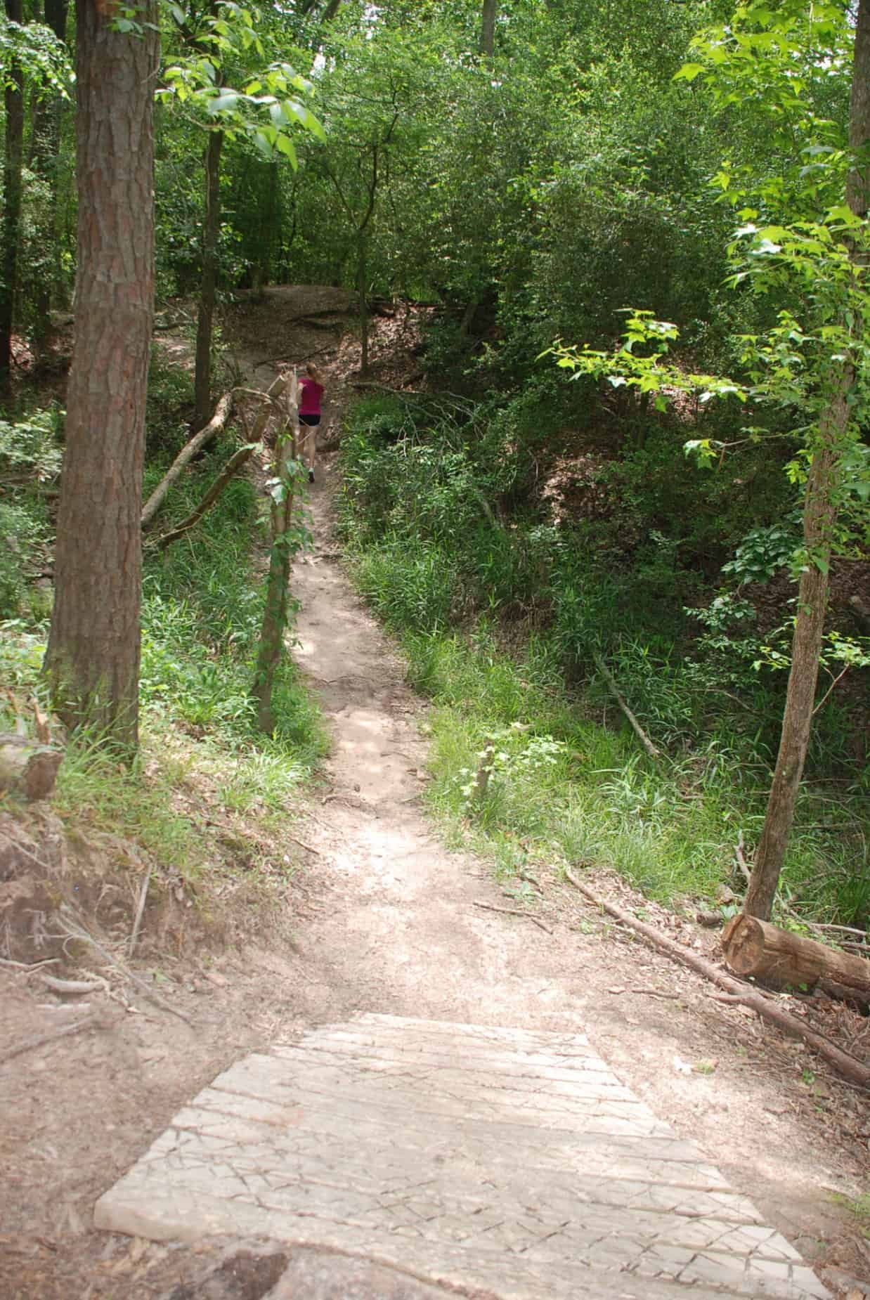 Improvements made to steep portion of dirt path in 100 Acre Wood Preserve Houston TX