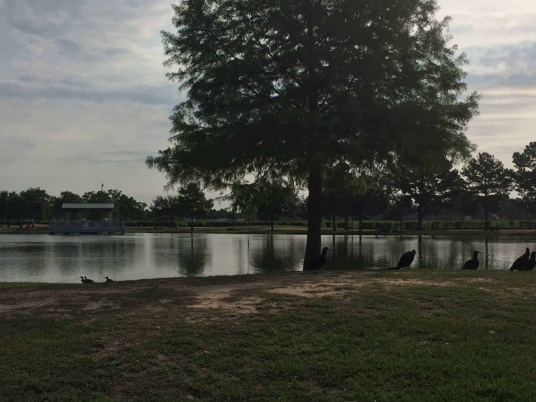 View of Lake from south side of Mary Jo Peckham Park Katy TX
