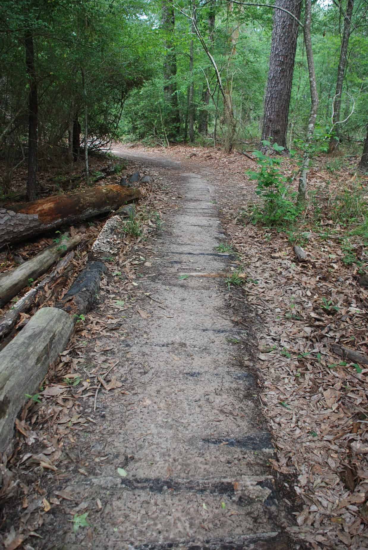 Natural Improvements made to Dirt Path in 100 Acre Wood Preserve Houston TX