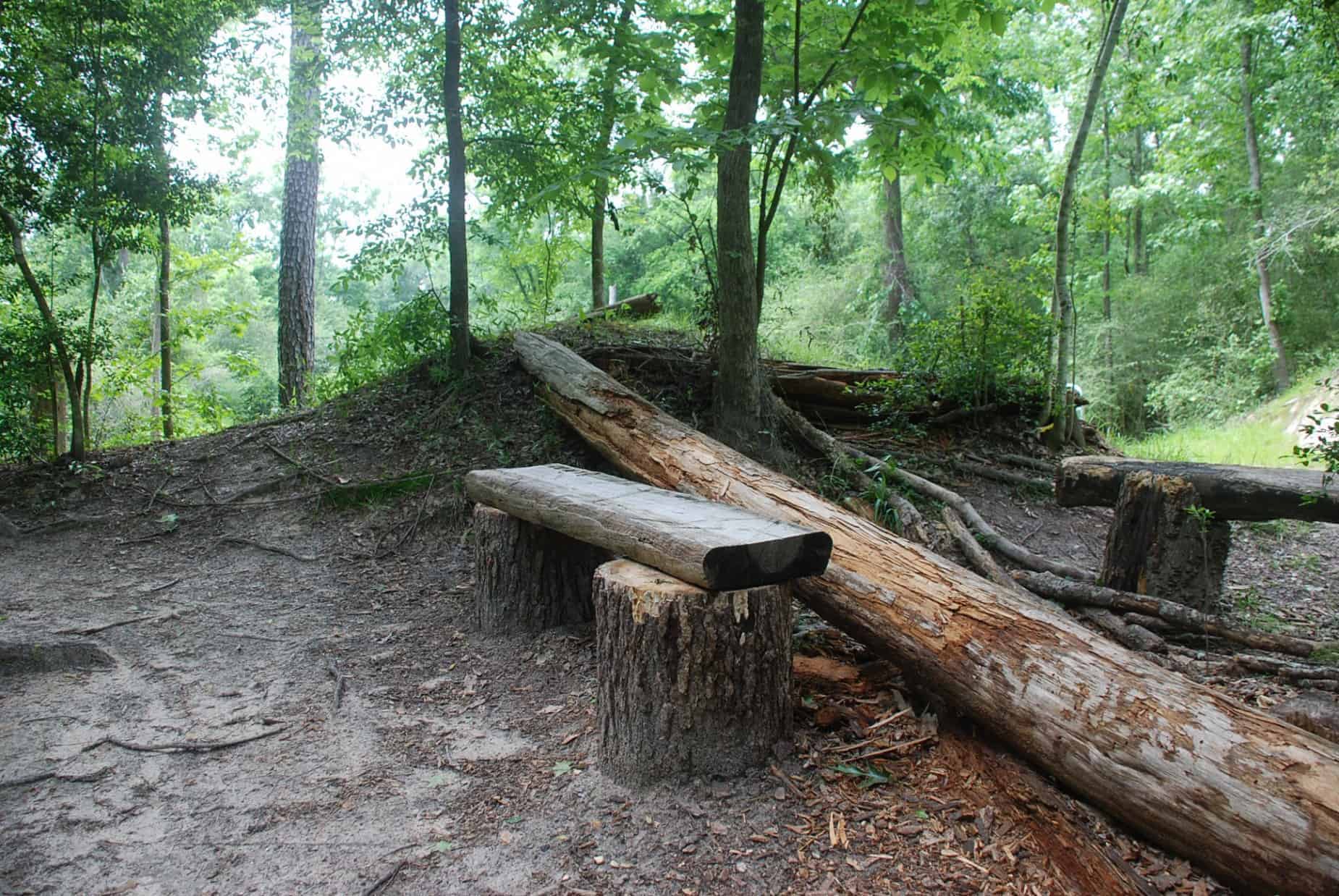 Natural bench along dirt path in 100 Acre Wood Preserve Houston TX