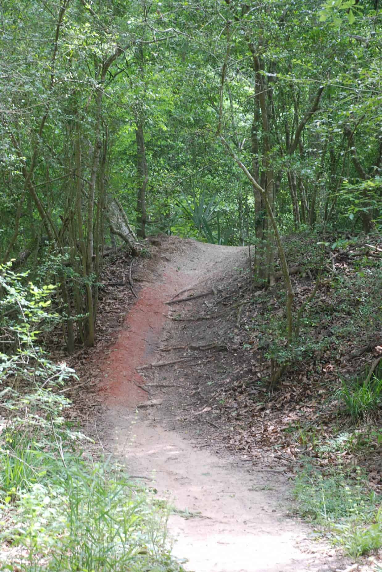 One of numerous dirt hiking trails in 100 Acre Wood Preserve Houston TX