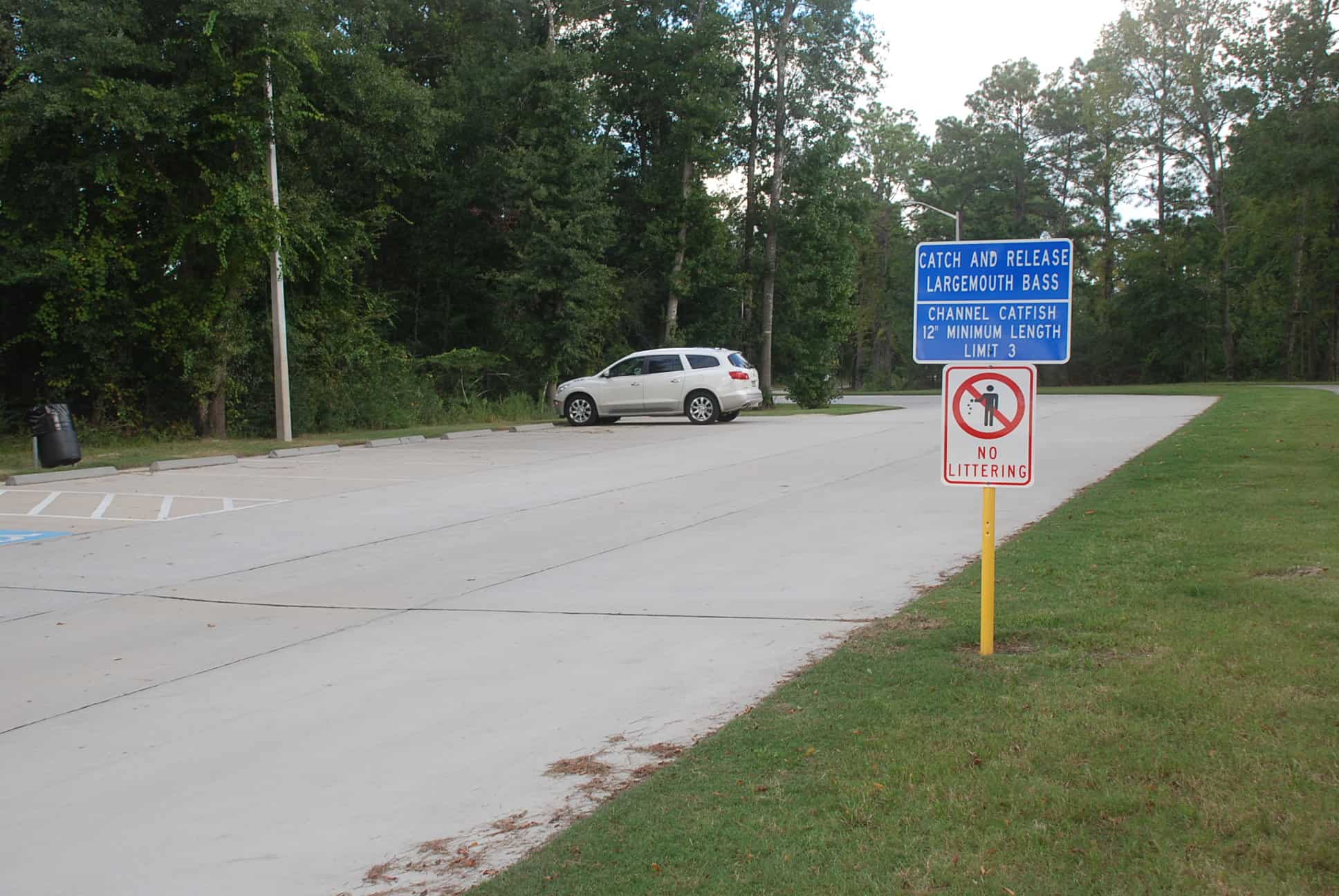 Entrance Roadside Parking Lot
