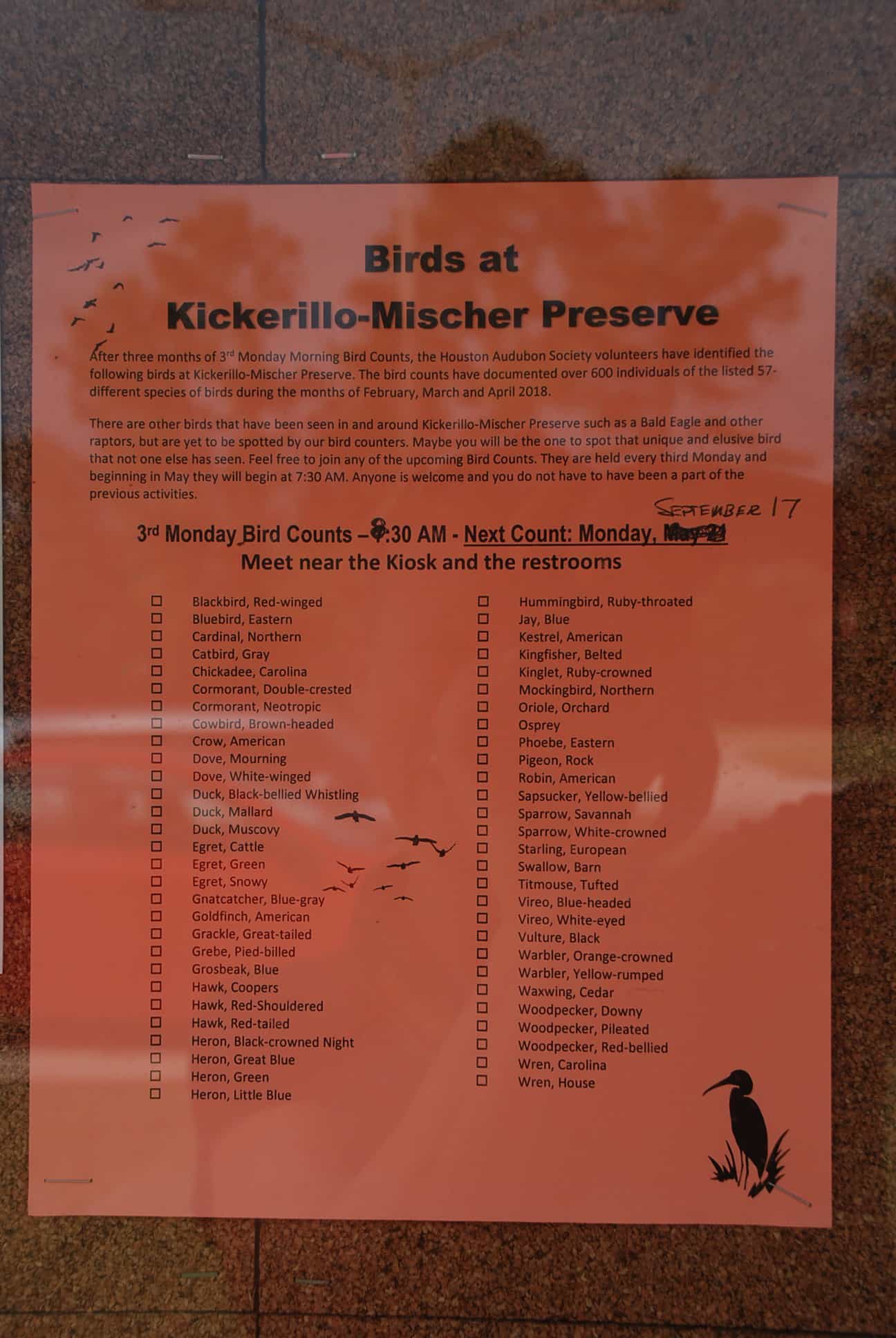 List of Birds at Park