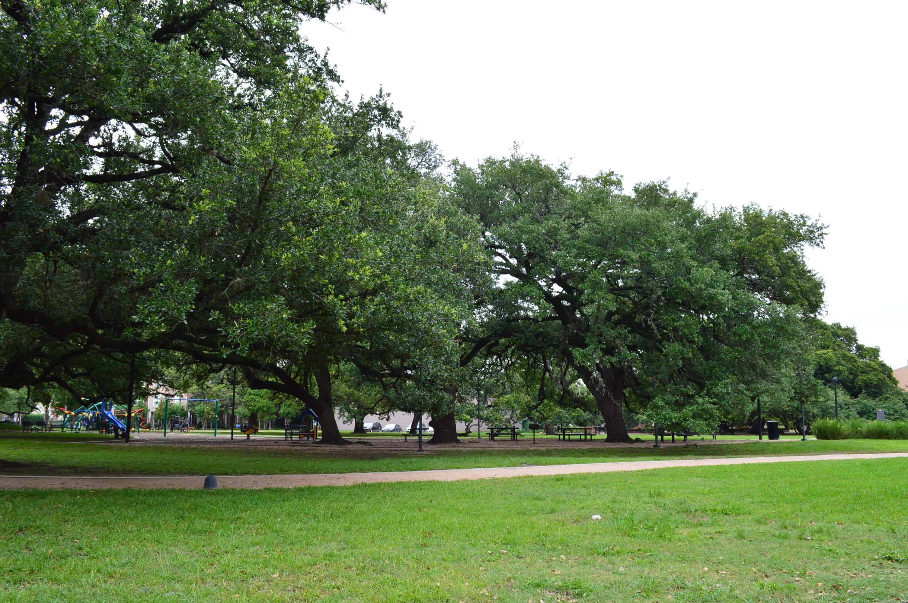 Baldwin Park Trees