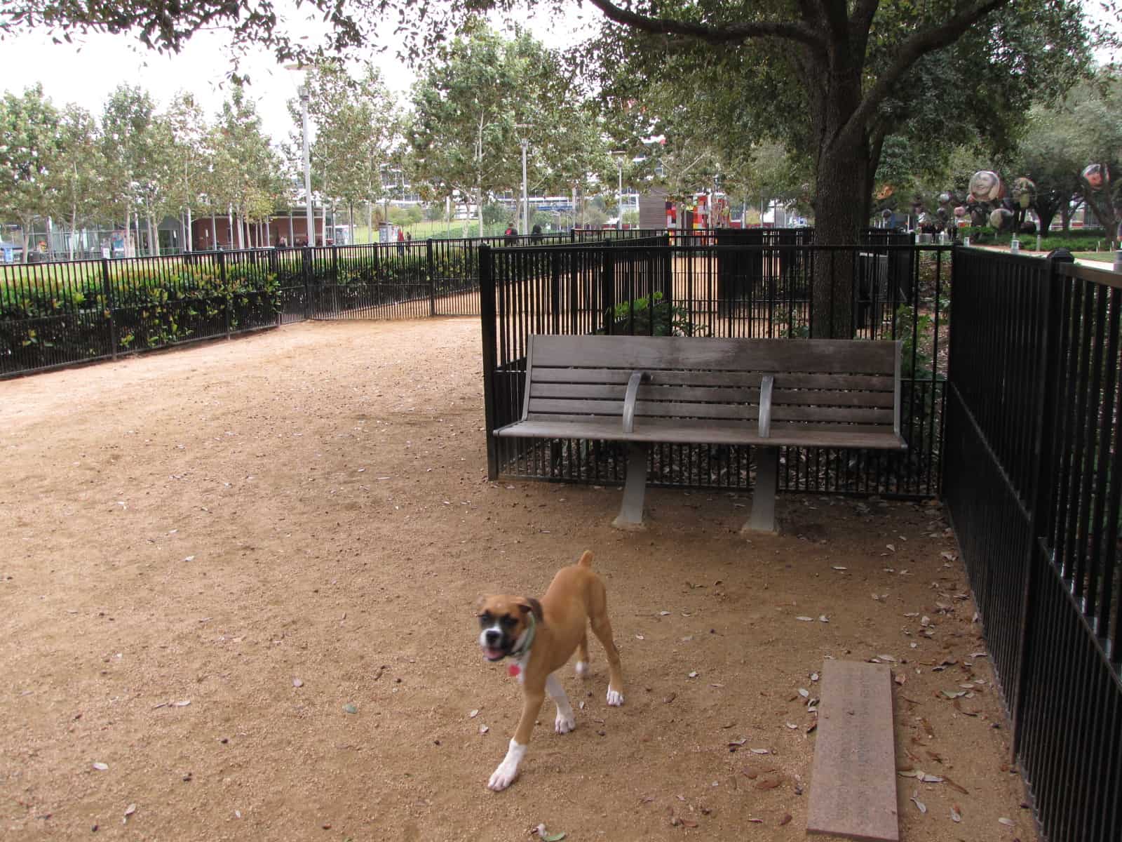 Discovery Green Dog Park in Downtown Houston TX