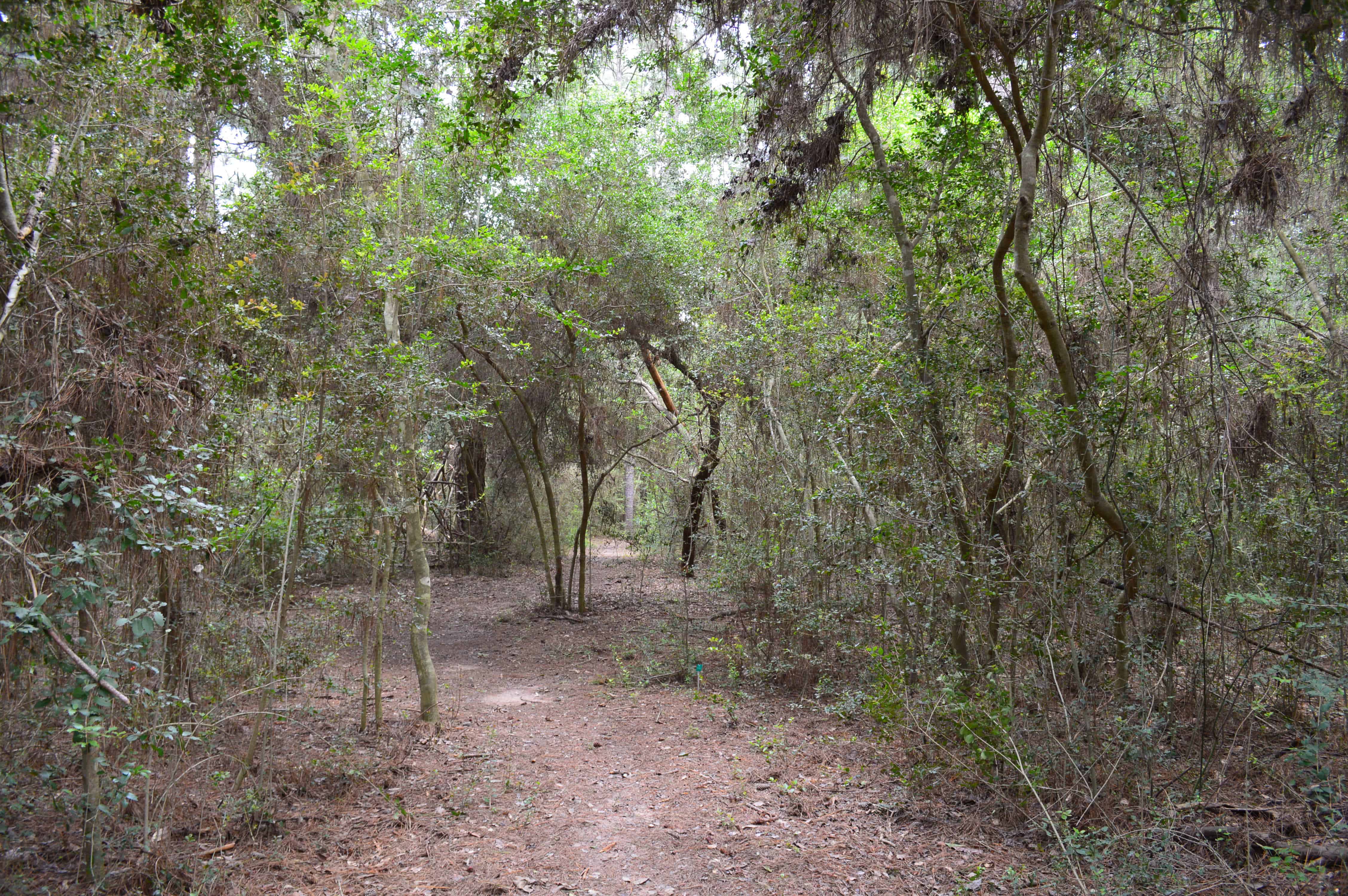Kleb Woods Nature Preserve Farm Trail