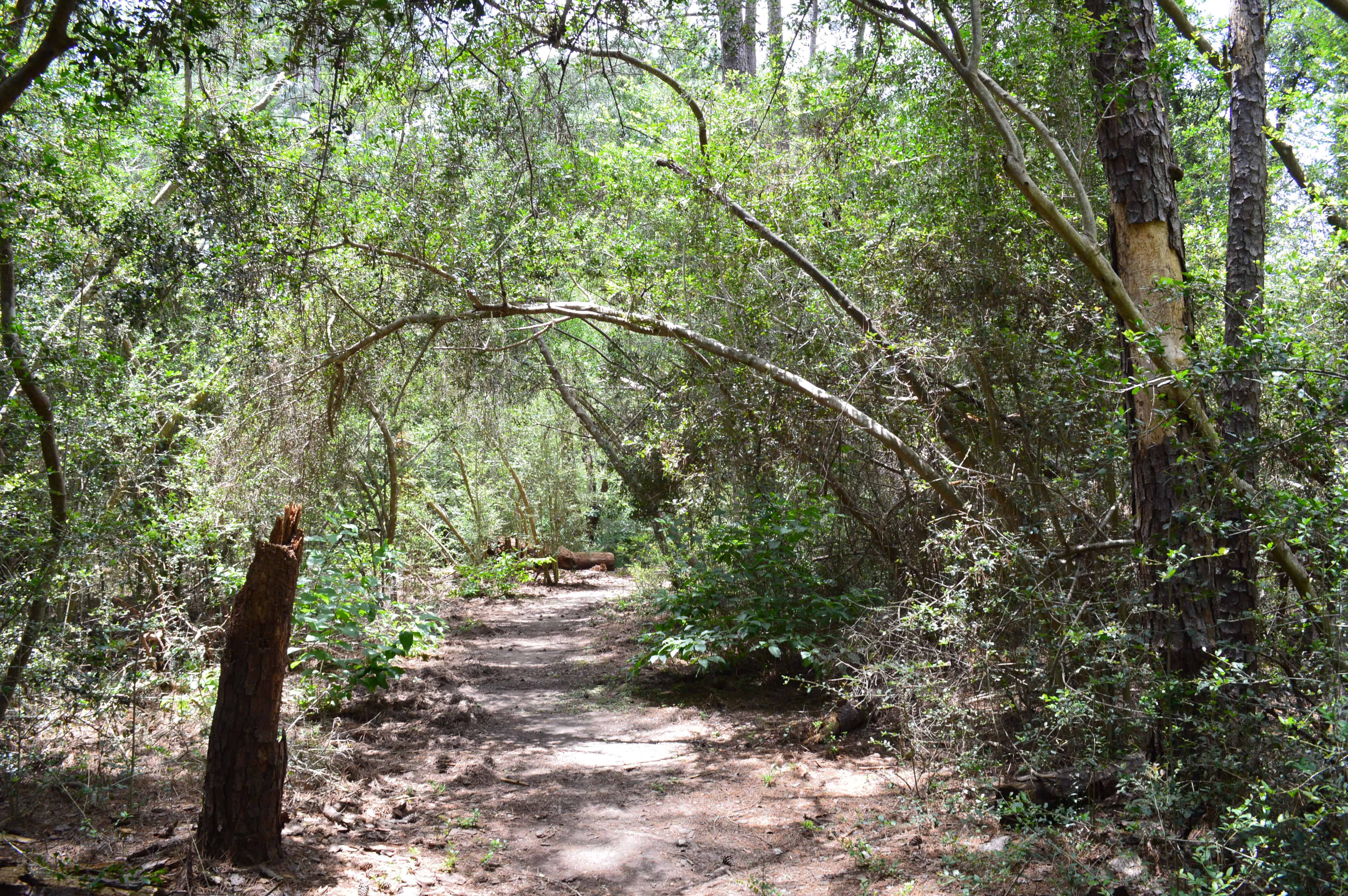 Kleb Woods Nature Preserve Half Mile Trail