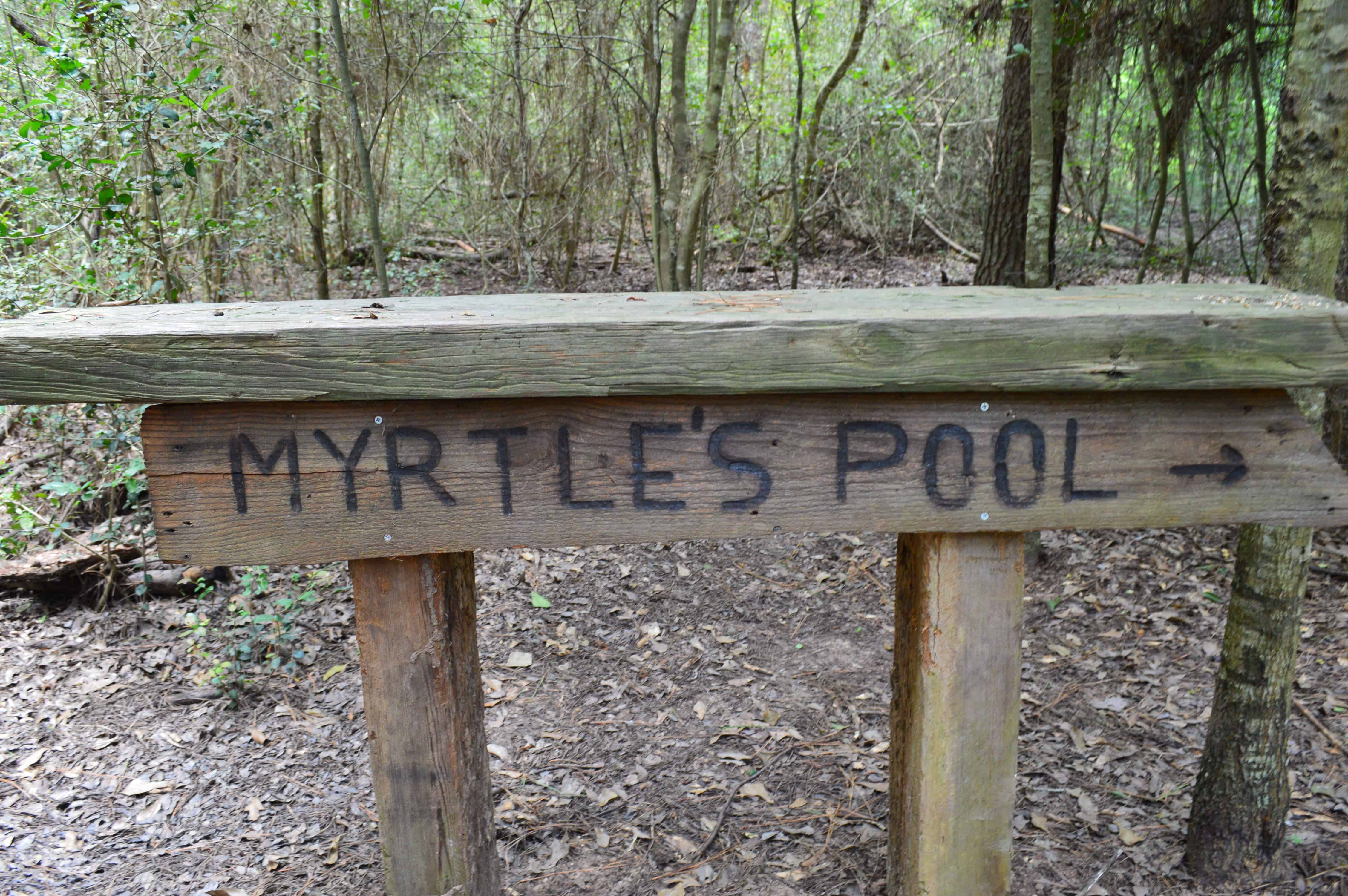 Kleb Woods Nature Preserve Myrtles Pool along Wetlands Trail