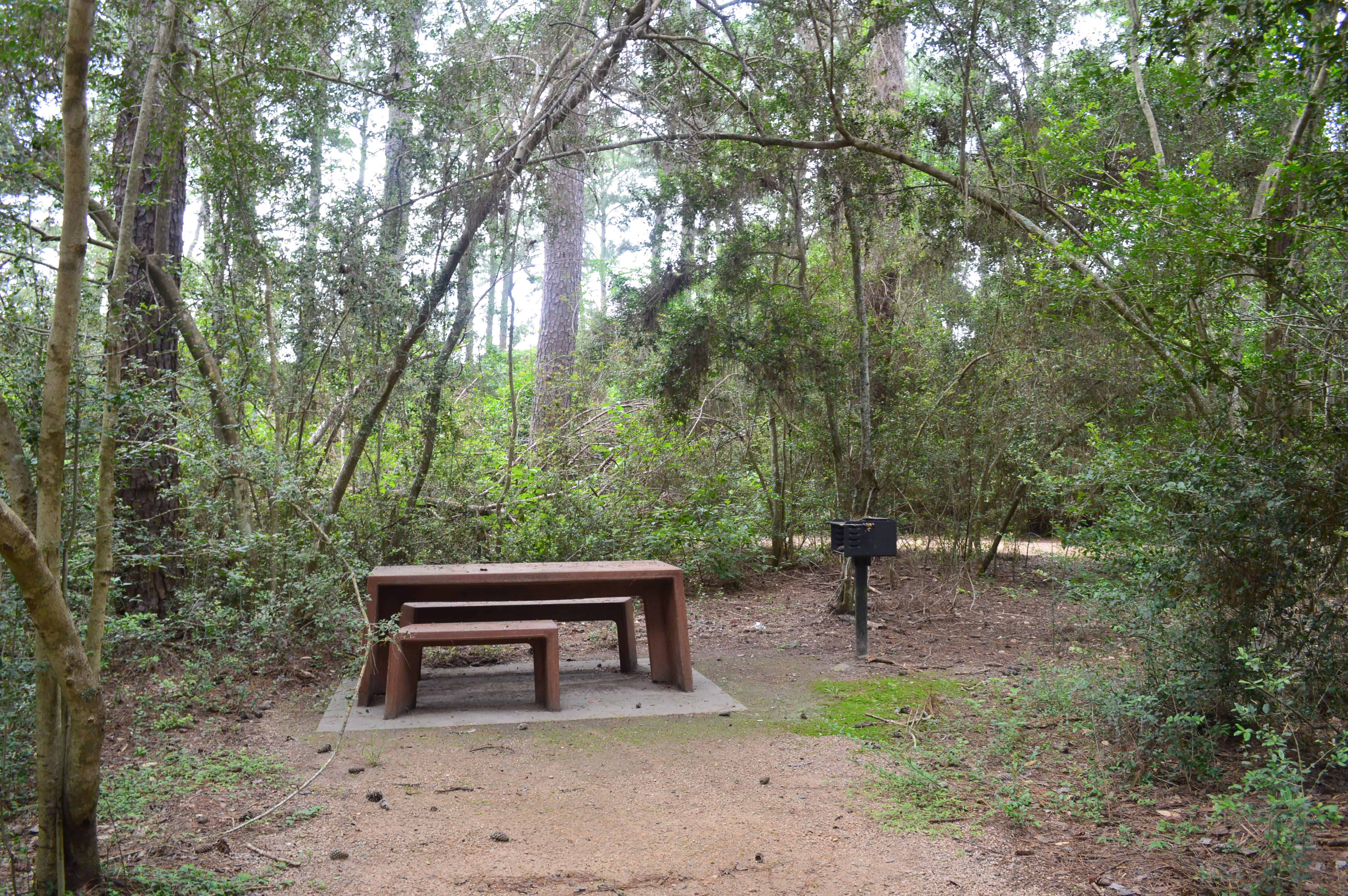 Kleb Woods Nature Preserve Picnic-BBQ Area
