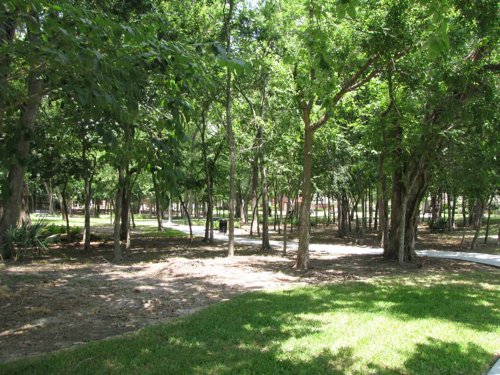 Path through Forested Area at Waller Park