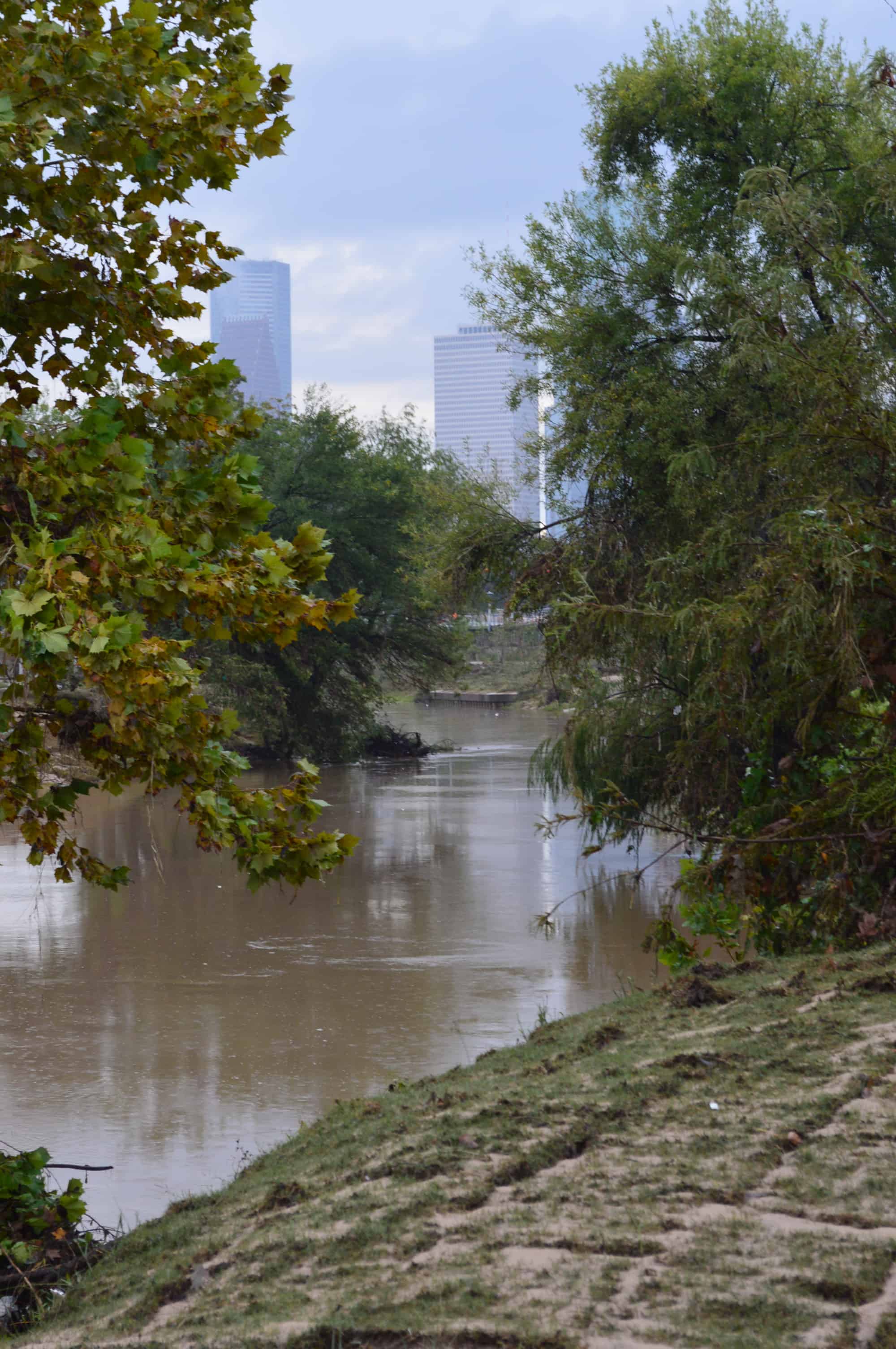 View from Banks of Buffalo Bayou