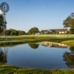 Texas acreage homesite with a stock pond and windmill, the kind of property where the seller's water disclosure applies