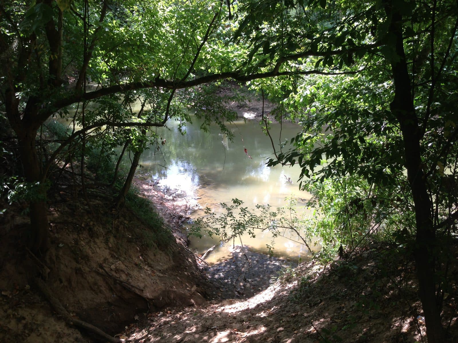 5535_Buffalo-Bayou-10