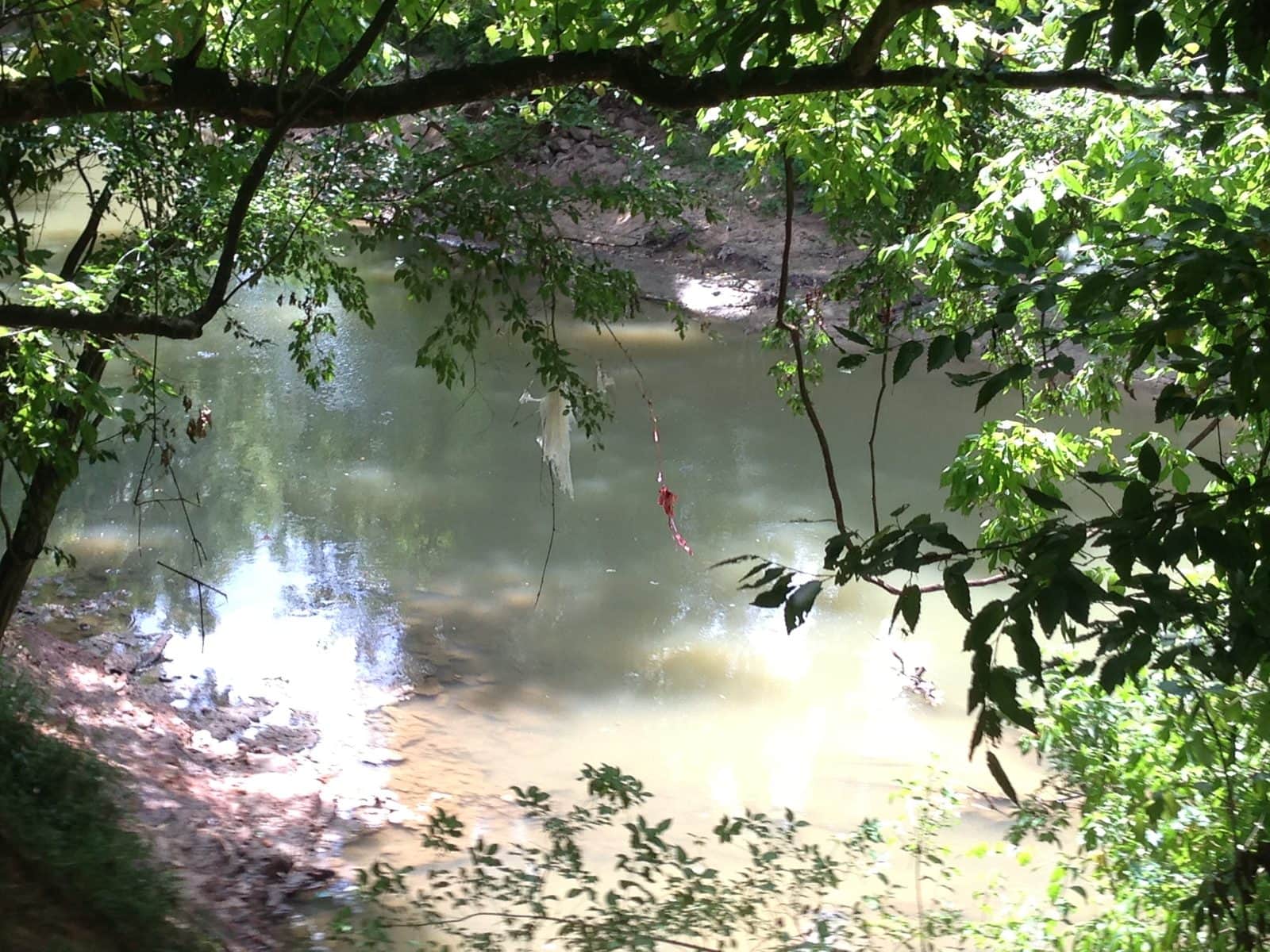 5535_Buffalo-Bayou-12
