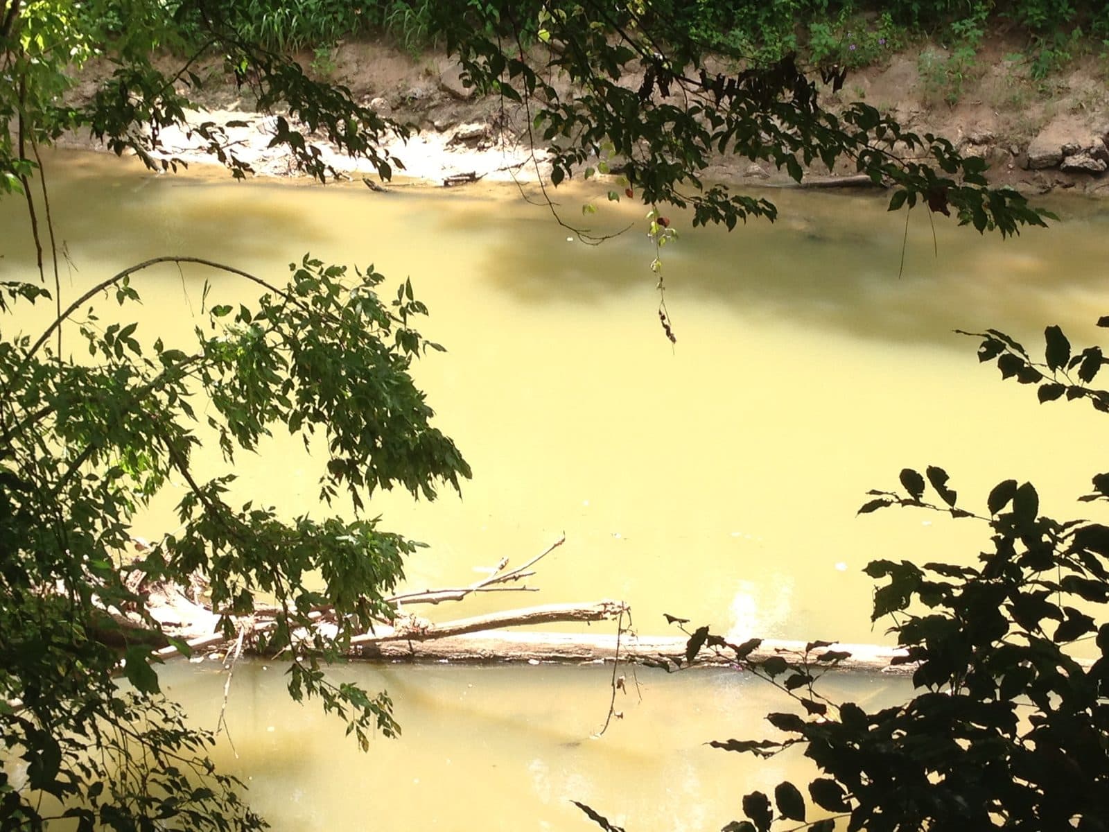 5535_Buffalo-Bayou-13