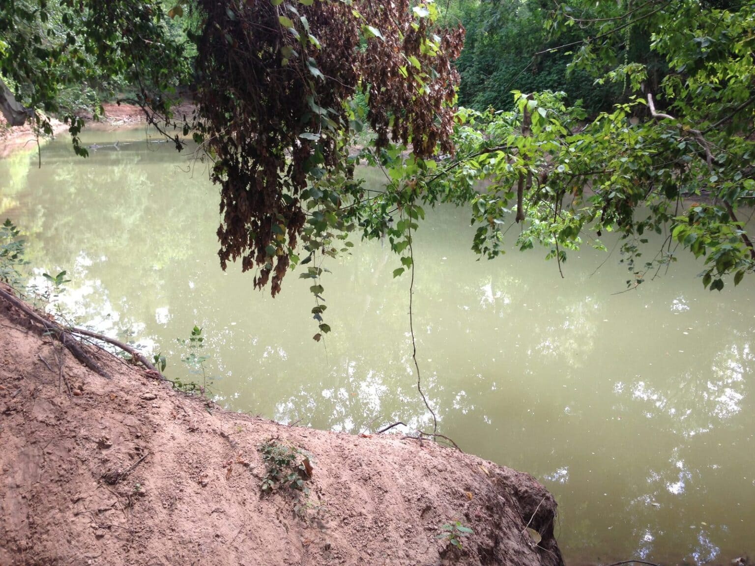 Buffalo Bayou near the Houston Arboretum and Nature Center