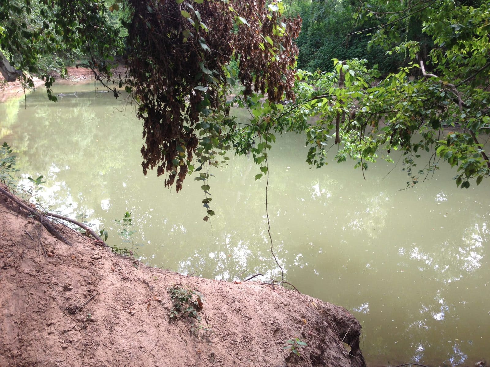 5535_Buffalo-Bayou-16