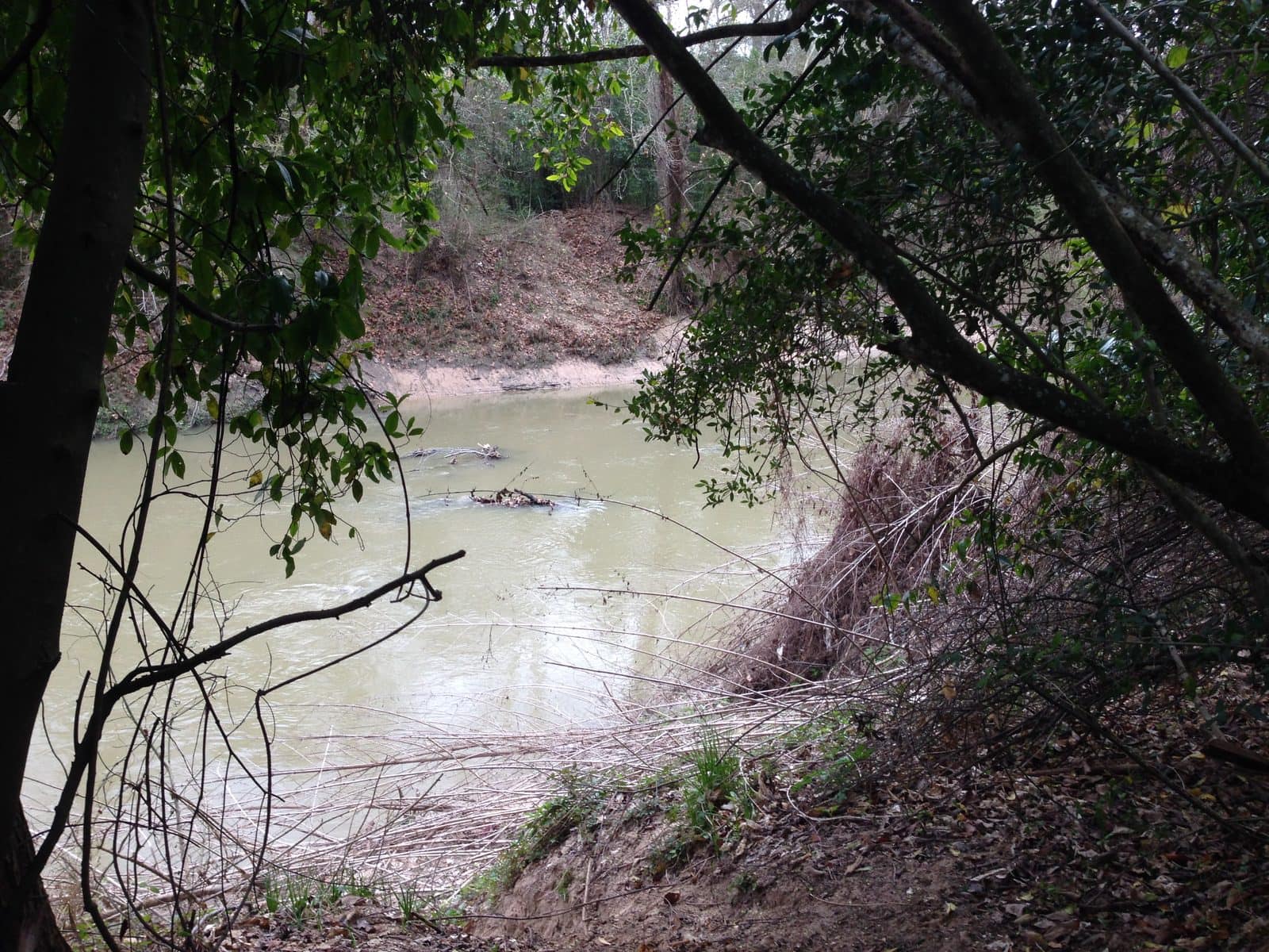 5535_Buffalo-Bayou-8