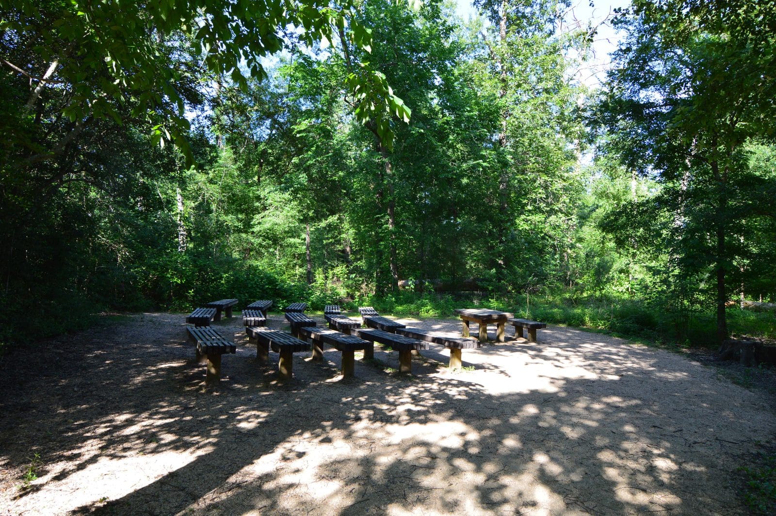 5535_Houston-Arboretum-13