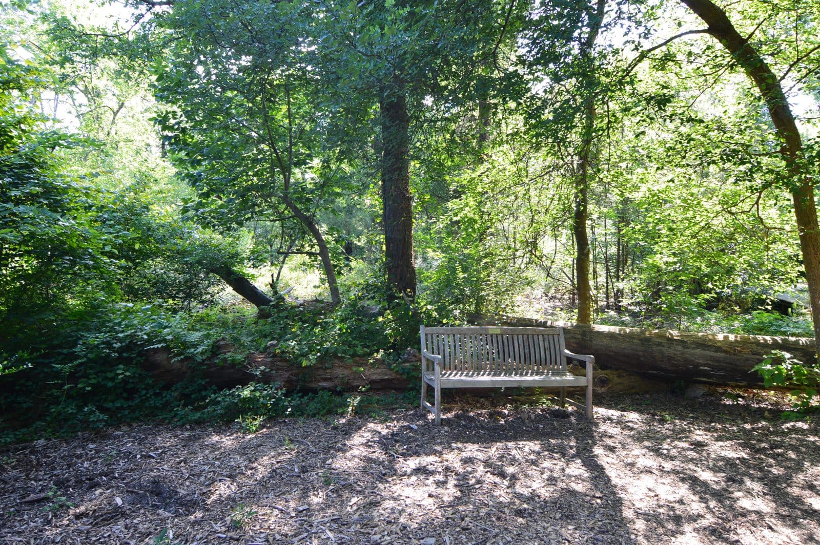 5535_Houston-Arboretum-16