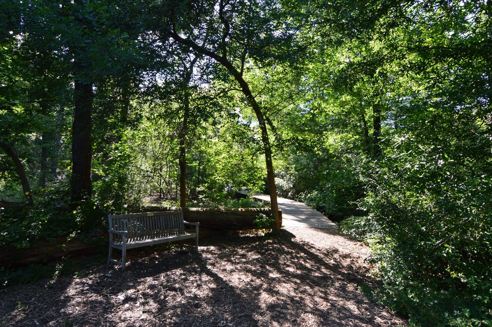 5535_Houston-Arboretum-17