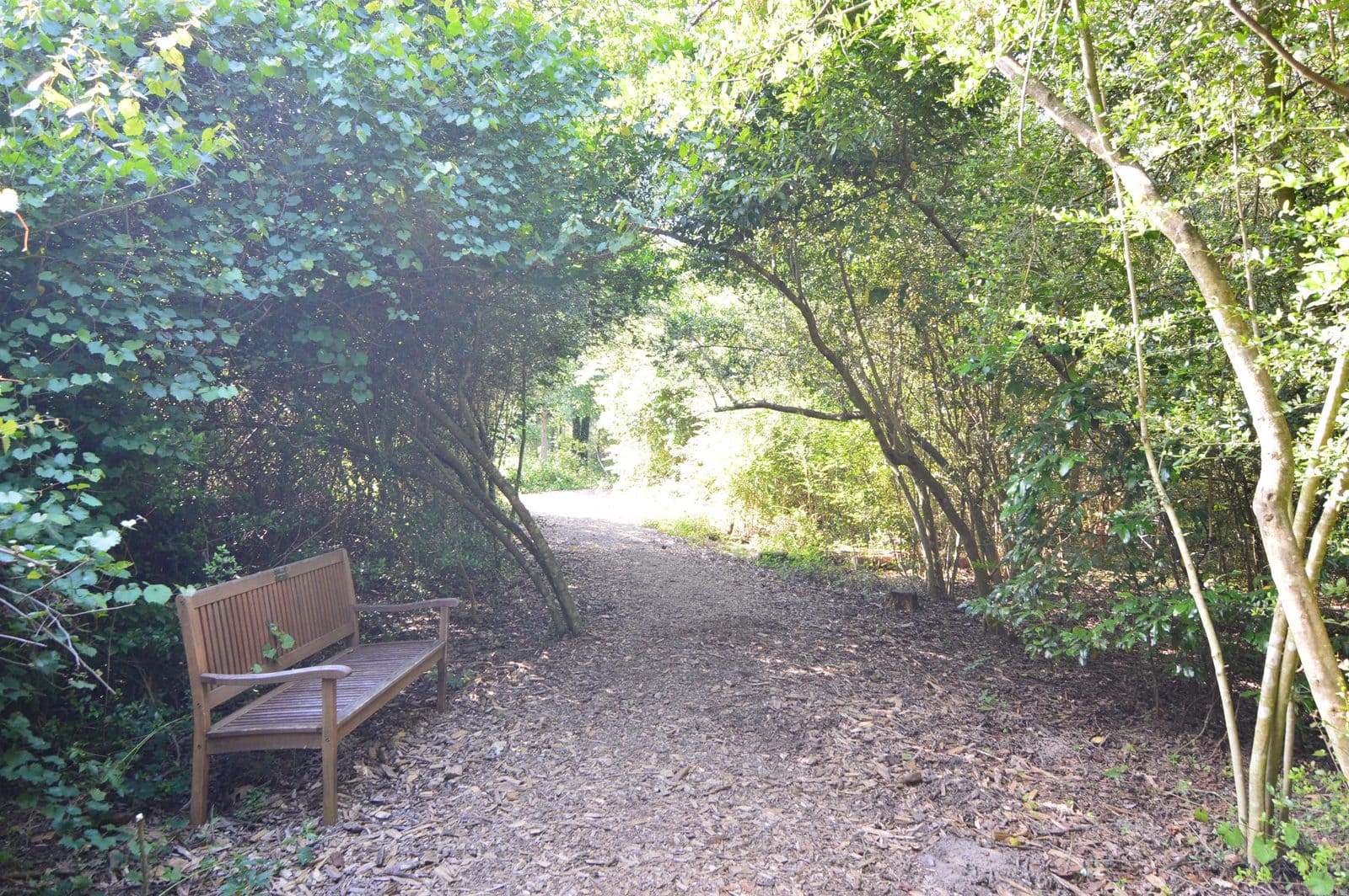 5535_Houston-Arboretum-20