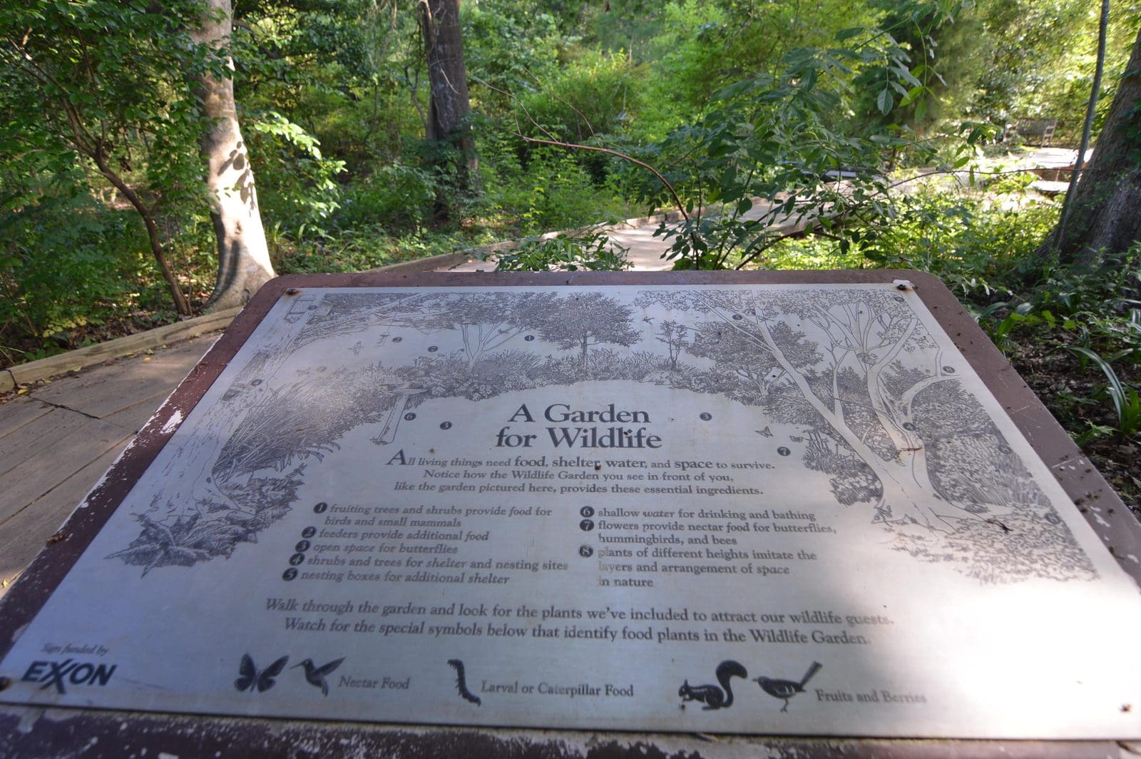 5535_Houston-Arboretum-28
