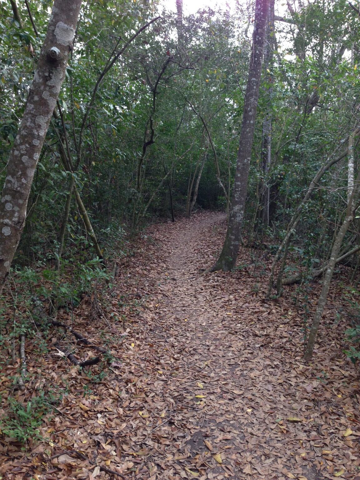 Houston Arboretum and Nature Center in Memorial Park, Houston, TX