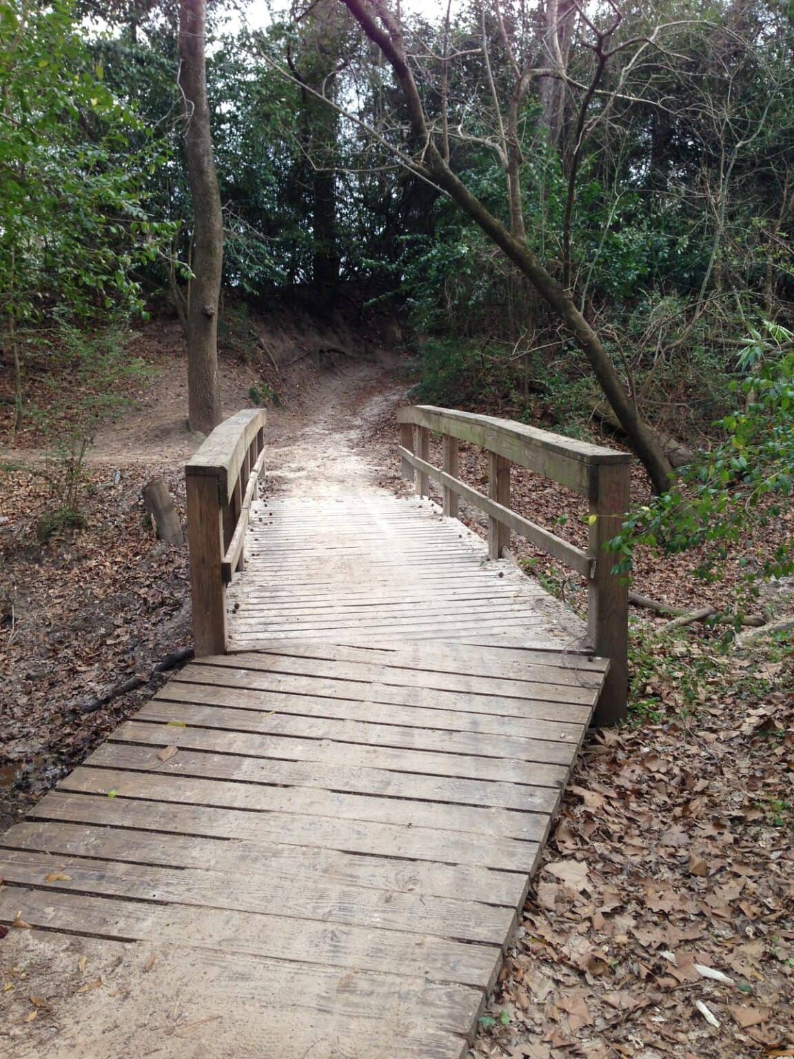 Houston Arboretum and Nature Center in Memorial Park, Houston, TX