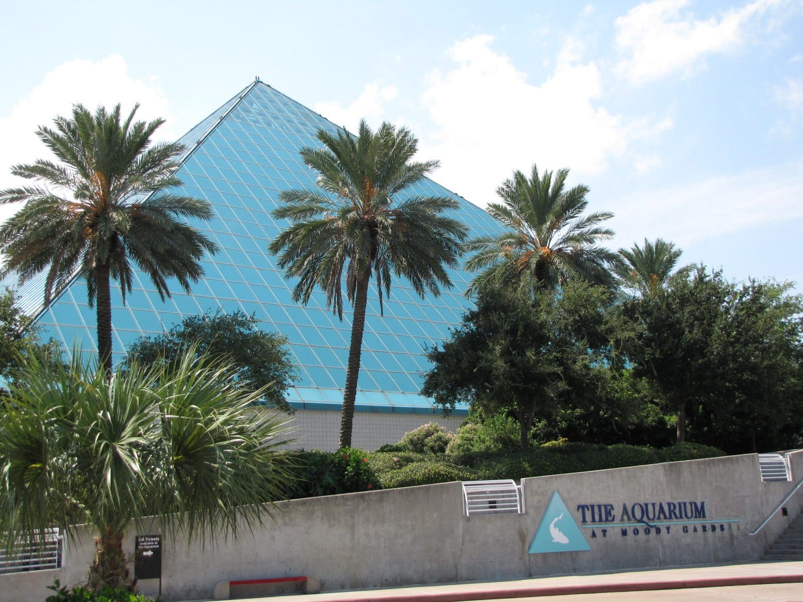 5442_Moody-Gardens-Pyramid-2 5442_Moody-Gardens-Pyramid-2