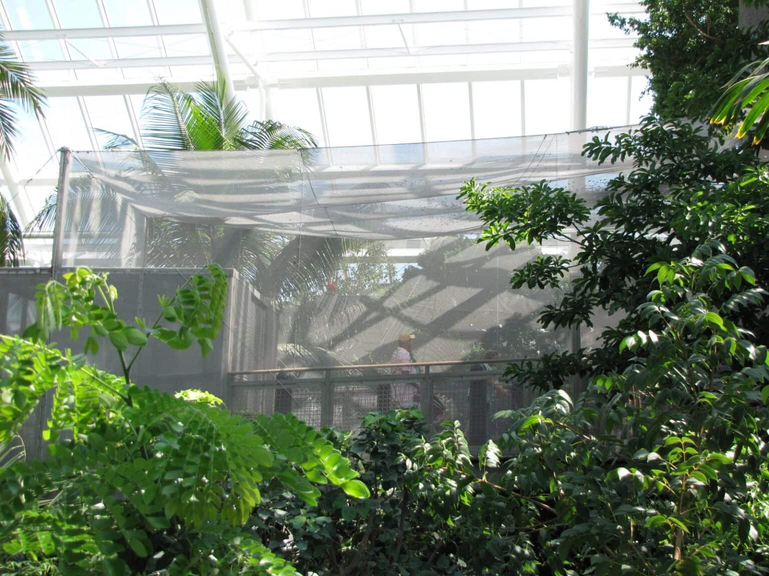 Inside the Rainforest Pyramid at Moody Gardens in Galveston, TX