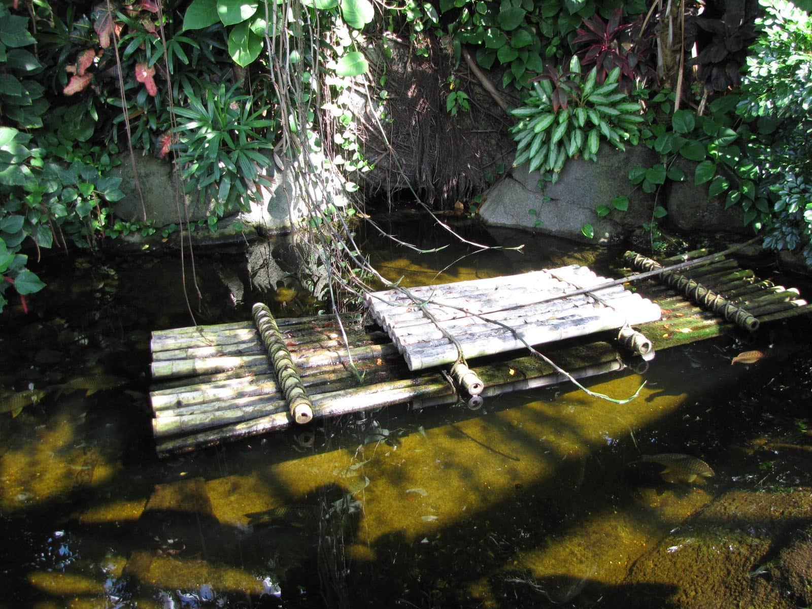 5442_Moody-Gardens-Rainforest-Pyramid-24 5442_Moody-Gardens-Rainforest-Pyramid-24