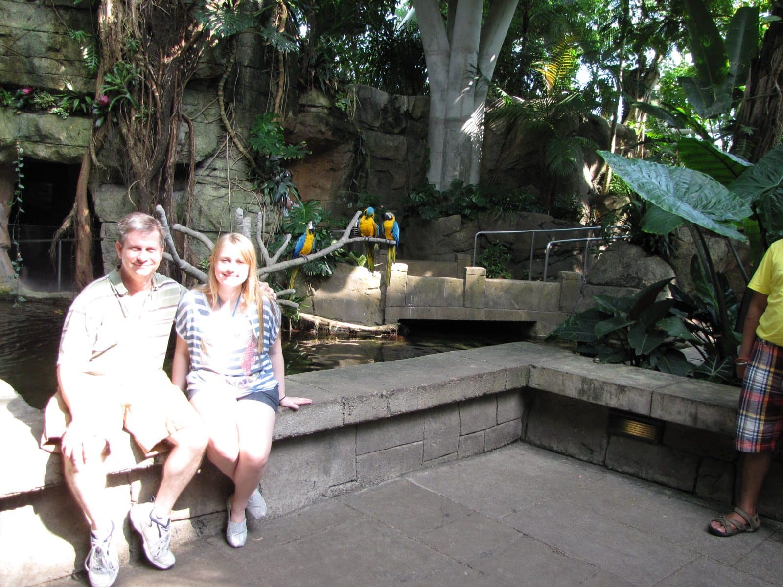 5442_Moody-Gardens-Rainforest-Pyramid-45 5442_Moody-Gardens-Rainforest-Pyramid-45