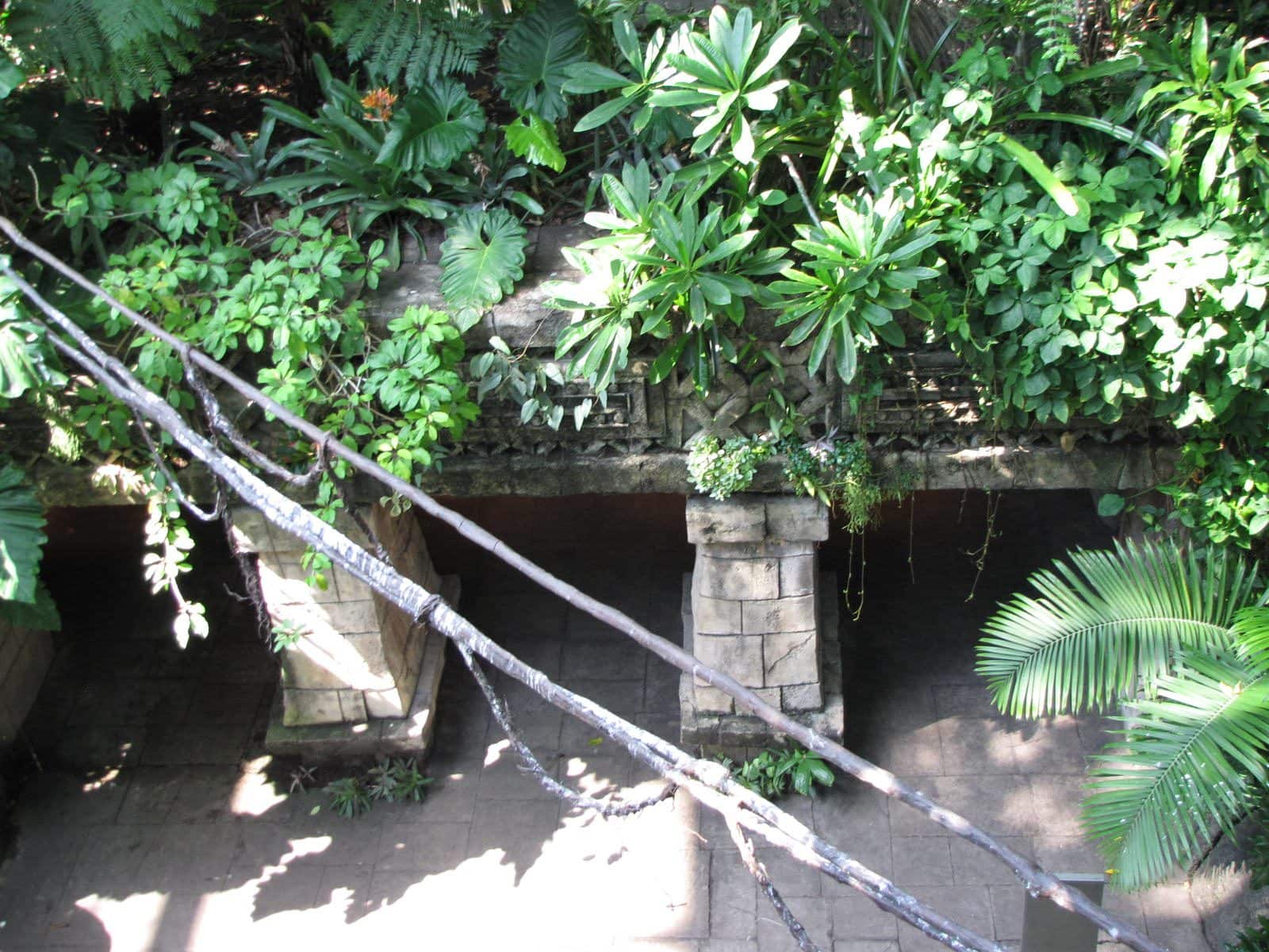5442_Moody-Gardens-Rainforest-Pyramid-5 5442_Moody-Gardens-Rainforest-Pyramid-5