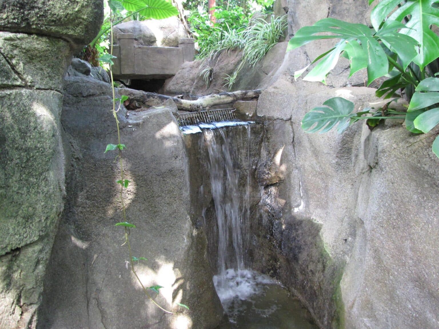 Inside the Rainforest Pyramid at Moody Gardens in Galveston, TX