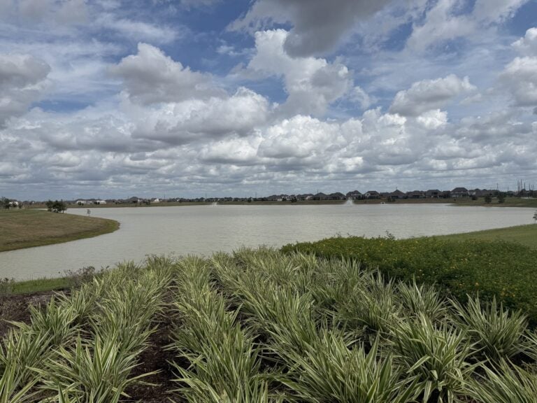 Community lake with native grasses and homes beyond in Sunterra, Katy TX 77493
